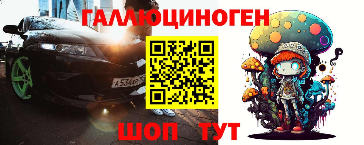 Галлюциногенные грибы мухоморы Губкинский