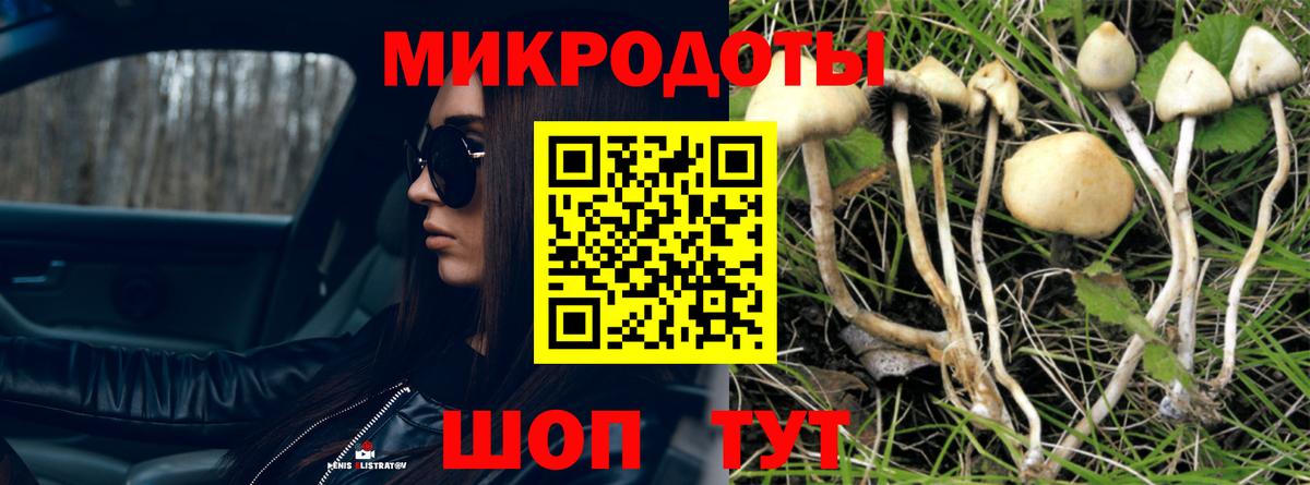 Галлюциногенные грибы Magic Shrooms  Вход с VPN  Губкинский 