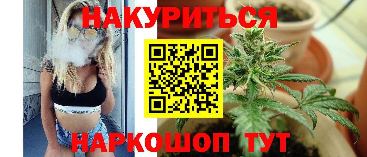 Бошки Шишки семена Губкинский